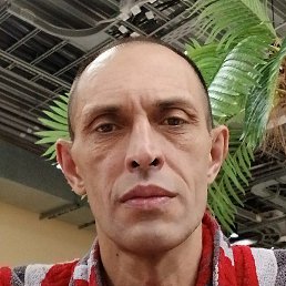 �����, ����, 50 ���