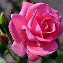 ���� ����, ������, 45 ��� - ��������� 20 ������ 2025