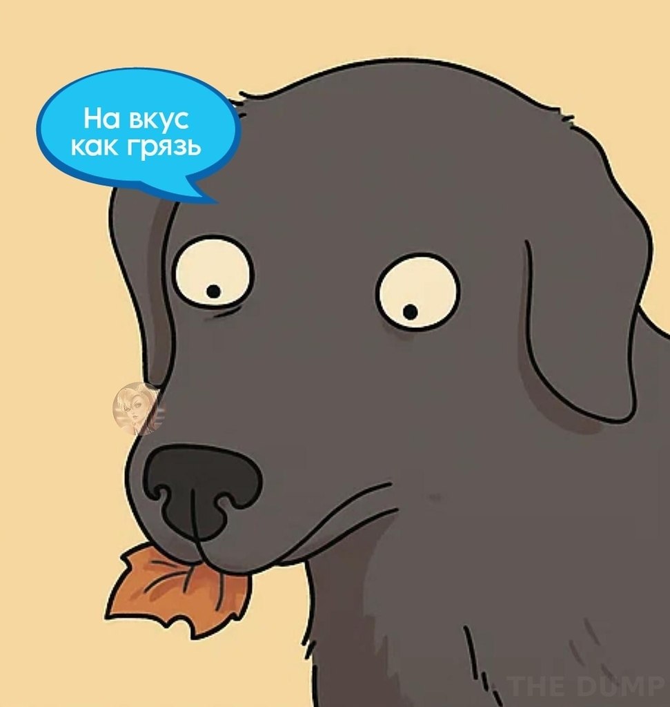 so`quiet - 3
