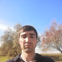 ���� ��������, �������, 37 ��� - ��������� 17 ������ 2023