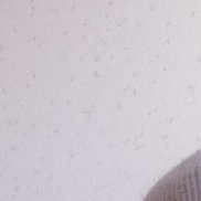 �����, 33 ����, ���������