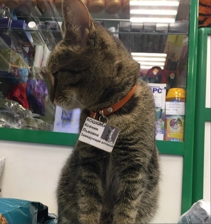       - 16  2025  16:46 - 4