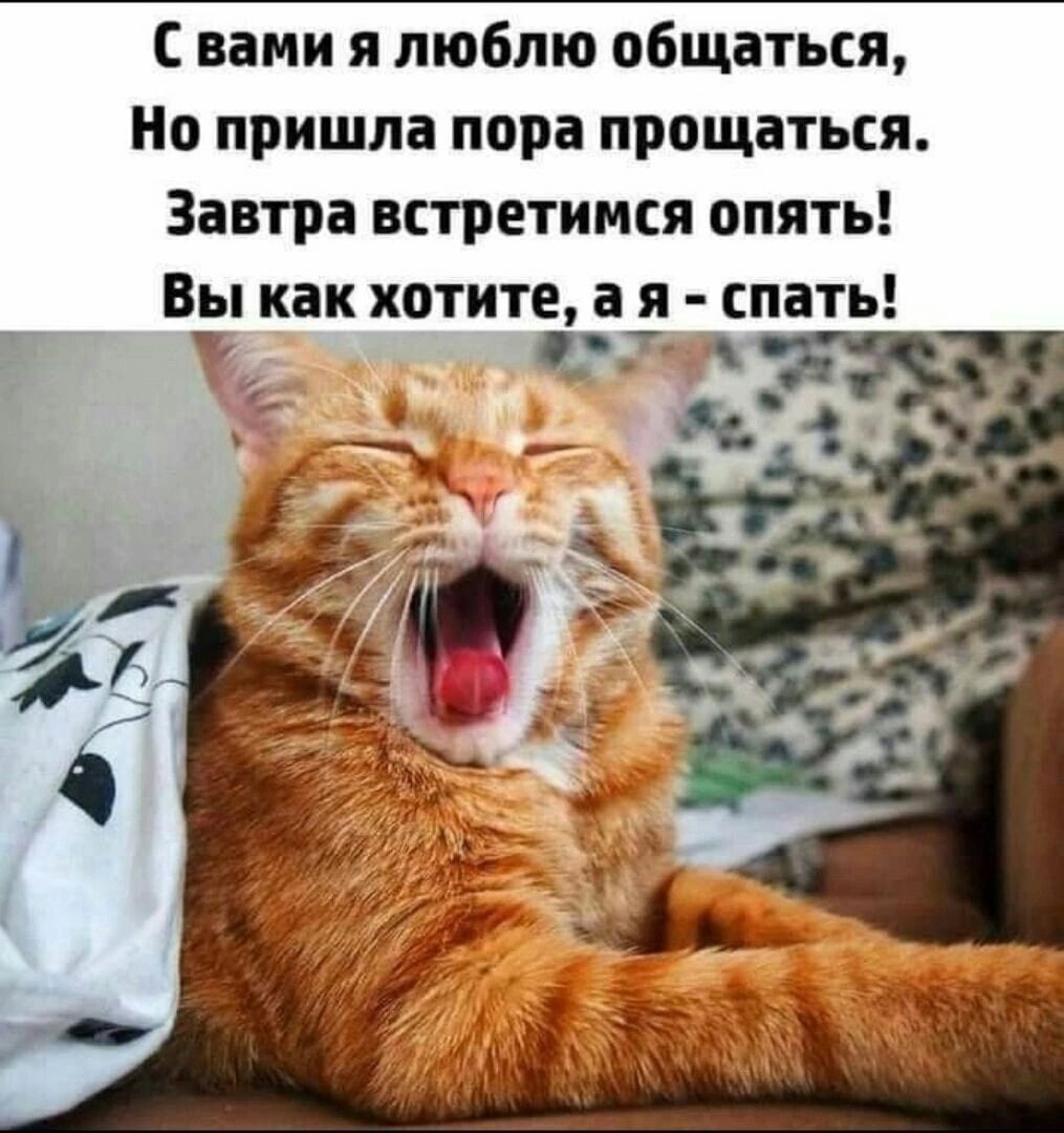 ������ - 24 ������� 2025 � 20:02