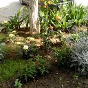 ���� Anatoliy, ���������, 72 ���� - ��������� 6 ������ 2025 � ������ ���� ����������