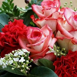 �������, �����-���������, 23 ����