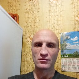 , 41, 