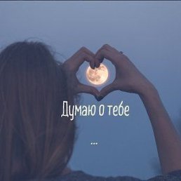 �����!!!, �����, 41 ���