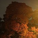 ���� �����, �����-��������� - ��������� 11 ������� 2025 � ������ ���� ����������