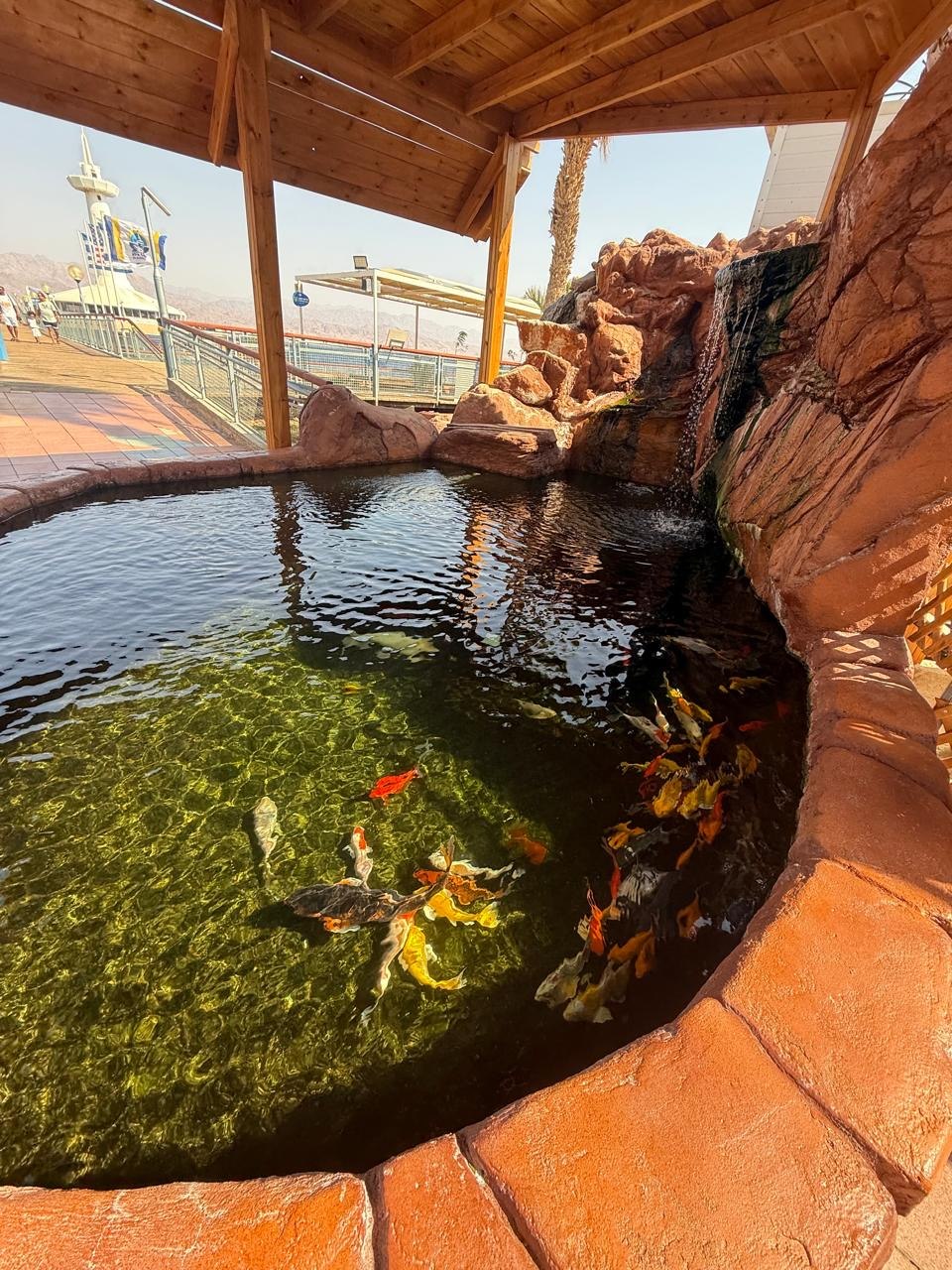 💎Je Suis Diamond 💎 - 13  2025  17:46 - 2