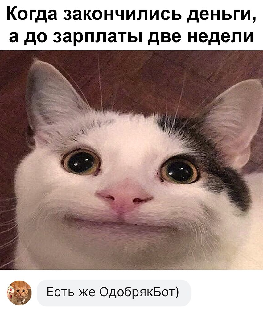 Тот самый бот - https://fotostrana.ru/away?to=/sl/PGV3