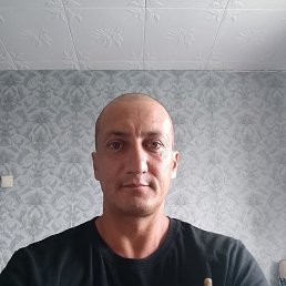, 41, 