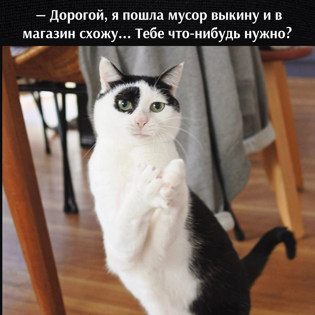       - 16  2025  18:34