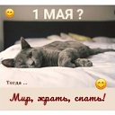 ���� �����, ������ ����� - ��������� 1 ��� 2026 � ������ ������ ��������