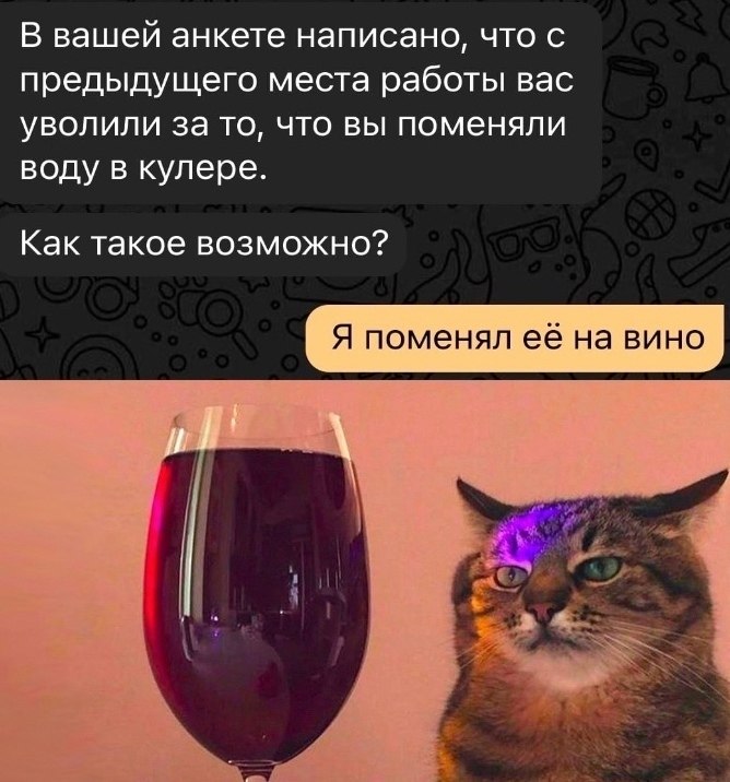 40  - 25  2024  19:23