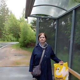 ���� �����, �����-���������, 54 ���� - ��������� 22 ���� 2026