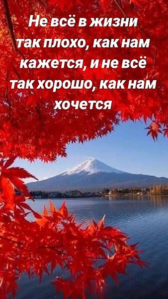 ₪╬═►  ||  ||  ◄═╬₪ - 12  2024  09:41