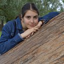  , -, 26  -  10  2025    