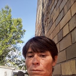, 40 , 