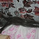 ���� ����, �������, 58 ��� - ��������� 6 ������� 2025 � ������ ���� ����������