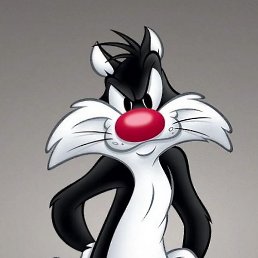 �����, �����, 29 ���