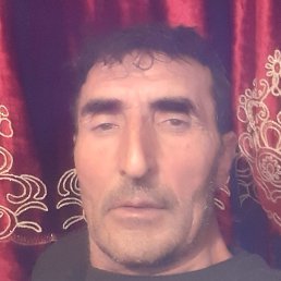 �����, �������, 49 ���