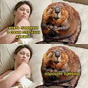���� Vladimir, ���������, 59 ��� - ��������� 11 ���� 2025 � ������ ������ ��������