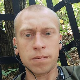 �������, �����, 33 ����