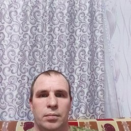 ����, 41 ���, ������