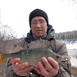 , 54 , 