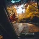 ���� �������, ���������, 41 ��� - ��������� 20 ������� 2025