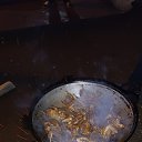 ���� ���������, ������, 39 ��� - ��������� 12 ������ 2024 � ������ ���� ����������
