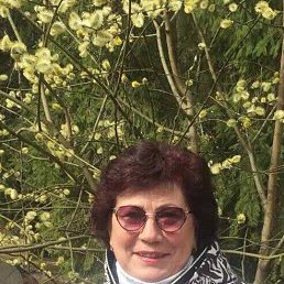 , 58, 