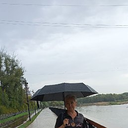 , 55, 