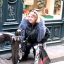 ���� Ilga, ���� - ��������� 29 ������ 2026 � ������ ������ ��������