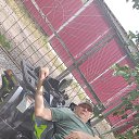 ���� ������, ����������, 55 ��� - ��������� 1 ���� 2024 � ������ ���� ����������