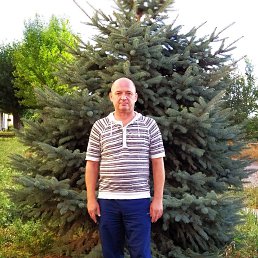 , 51, 