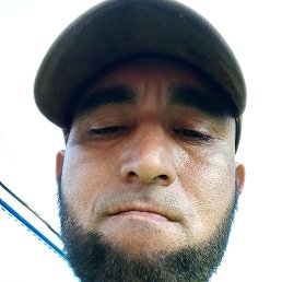, 33,  