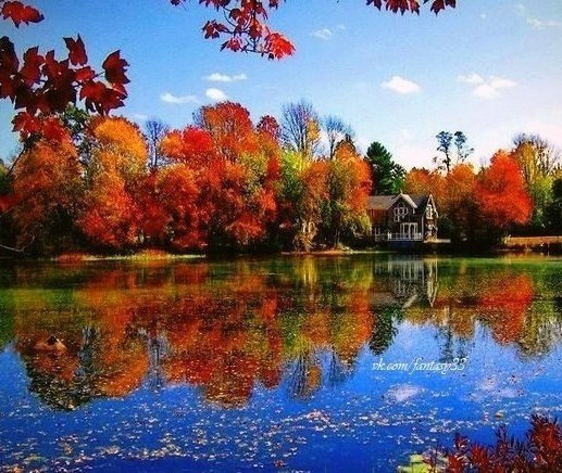 ������� �� �� ������� ��������. ��� � ������� ���, ���� ��� �����������. ������� � ��������� ����... - 5