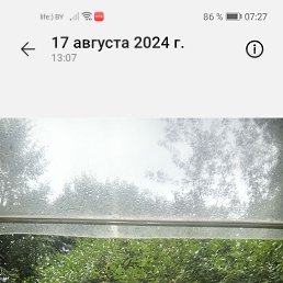 , 55, 