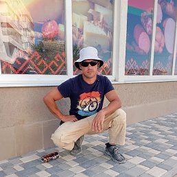 , 29, 