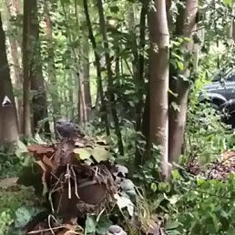 ���� �������, ������, 49 ��� - ��������� 4 ������� 2024