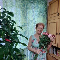 , 63, 