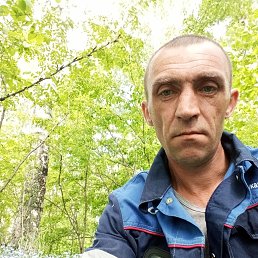, 41, 