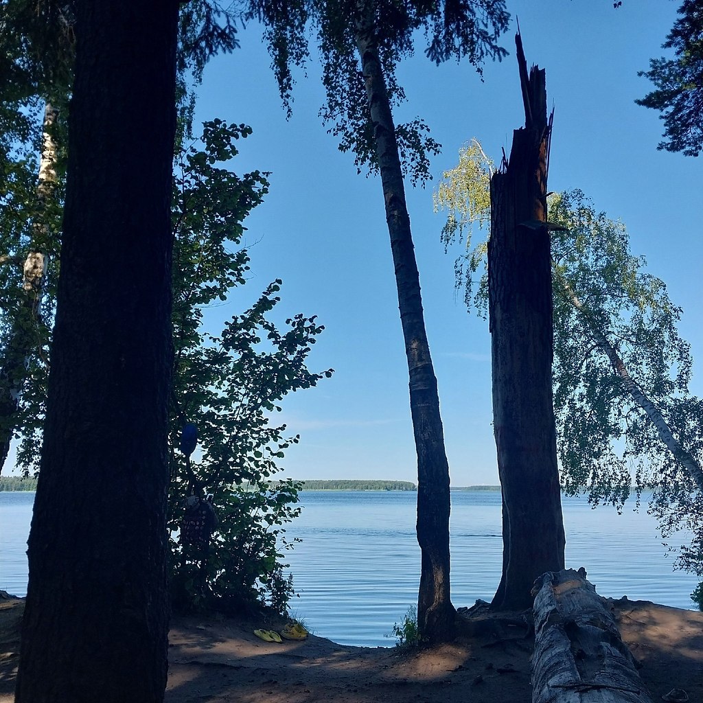 coe oopae. c p-, ococa o.  2024. op oo ec aeea - 5