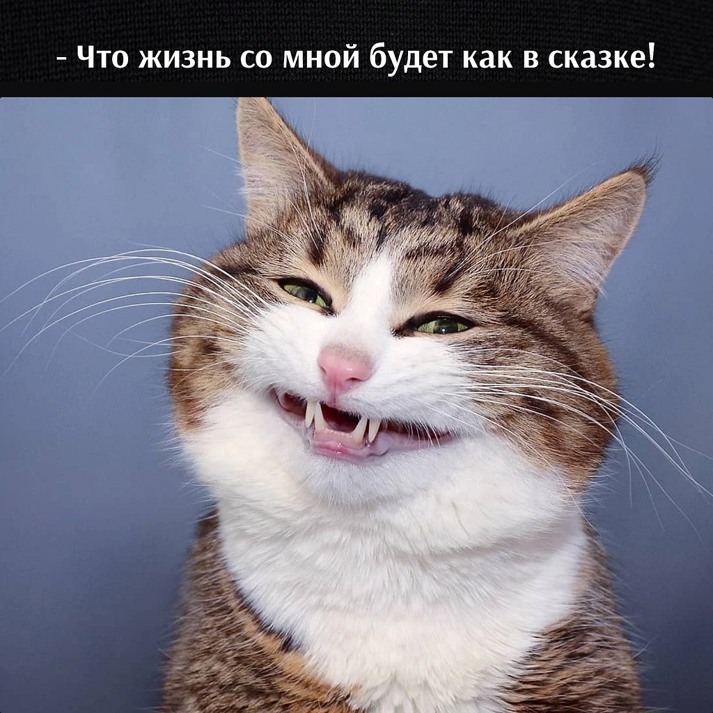       - 3  2025  12:40 - 4