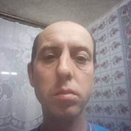 �������, ������, 37 ���