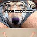 ���� ������, �������, 57 ��� - ��������� 29 ������� 2024 � ������ ���� ����������