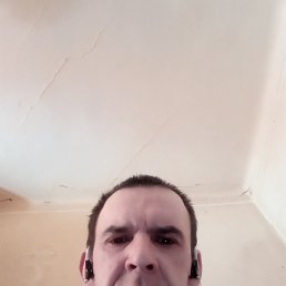 �������, ������, 46 ���