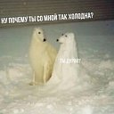 ���� ������, �����-��������� - ��������� 19 ������� 2024 � ������ �� ������������??�