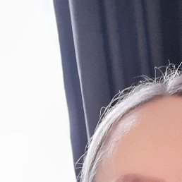 �����, �����-���������, 48 ���